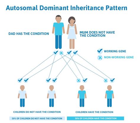 inherited übersetzung|example of inherit.